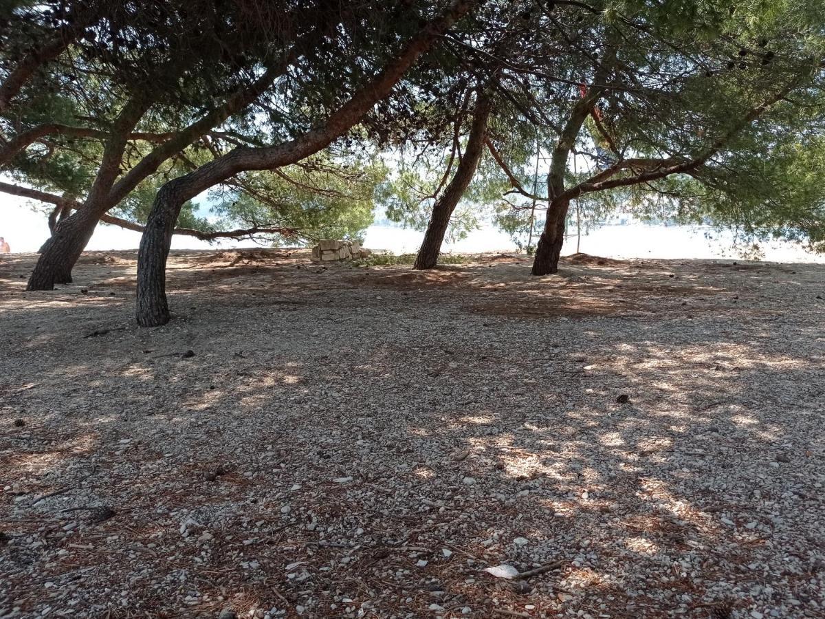 Apartmani Barisic Trogir Eksteriør bilde